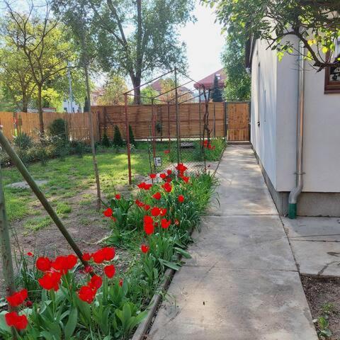 Ujszeged Apartman Zewnętrze zdjęcie